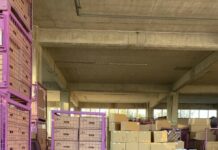 Авточасти за 8 млн. евро бяха иззети във Волуяк при операция на МВР и Софийската градска прокуратура в изпълнение на Европейска заповед за арест