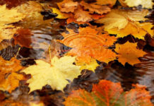 Времето в сряда: Температурите падат до минус 3°