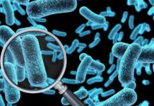 Учени твърдят, че са открили „ахилесовата пета“ на бактерии, устойчиви на антибиотици