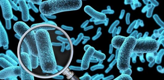 Учени твърдят, че са открили „ахилесовата пета“ на бактерии, устойчиви на антибиотици