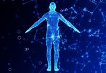 Учени подготвят карта на човешкото тяло клетка по клетка