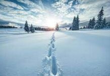 Meteo Balkans: Студ сковава България през уикенда, температурите падат до -15°