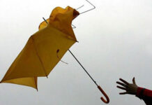 Опасно време: Жълт код за силен вятър в почти всички области на страната