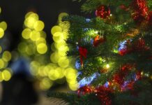 Работилница за коледни играчки и специална кутия за писма до Дядо Коледа ще има днес на пл. „Св. Александър Невски“