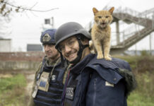 ЮНЕСКО: През последните две години на всеки 4 дни е убиван по 1 журналист