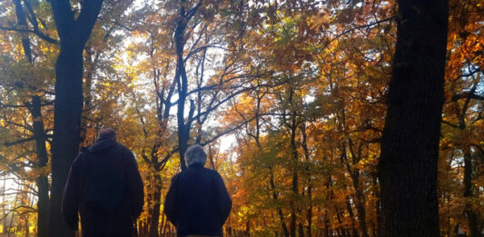 От днес започва изплащането на пенсии