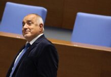 Борисов: ГЕРБ ще подкрепи Наталия Киселова