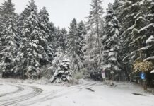 Лоши са условията за туризъм в планините