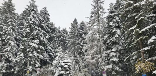 Лоши са условията за туризъм в планините