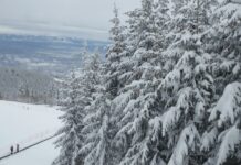 Затварят пътищата към Витоша за основно почистване, Столичната община засилва мерките за осигуряване достъп до планината