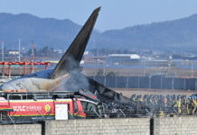 Поне 85 са жертвите на авиокатастрофата в Южна Корея