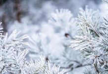 Обличайте се – започна студен период с минусови температури