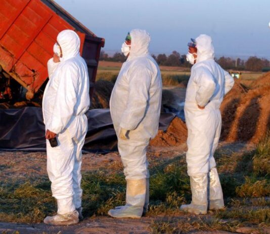 Може ли добре познат ни вирус да предизвика световна пандемия през 2025