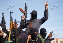 ТПС: „Хамас“ ще се преквалифицира на „доставчик“ за Газа, експертите бият тревога за хуманитарната помощ