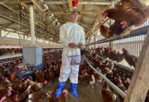 Огнище на птичи грип е открито в птицеферма близо до Лисабон