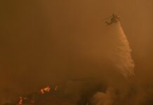 Тръмп отново разкритикува управляващите в Калифорния демократи във връзка с пожарите; крадци бяха задържани край дома на Камала Харис