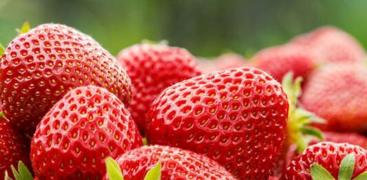 Ягодите – вкусни и много полезни за здравето