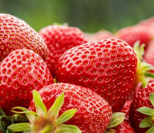 Ягодите – вкусни и много полезни за здравето