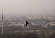 Трус с магнитуд 4 разтърси Делхи