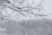 Жълт код за студ в по-голямата част от страната