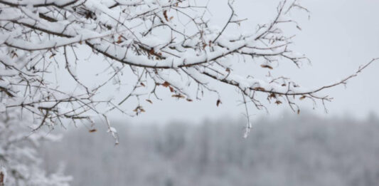 Жълт код за студ в по-голямата част от страната