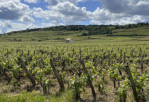 Галисия, новото Елдорадо на виното