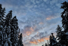 Жълт код за студ в 10 области в Североизточна България