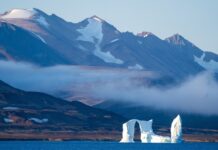 Колко би струвала Гренландия?