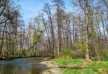 По случай Часа на Земята тази вечер ще бъдат изгасени светлините на обществени сгради и по домовете