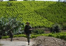 Колумбия смята, че ако Вашингтон преустанови партньорството си с нея в борбата с наркоритиците, това ще увеличи притока на кокаин в САЩ