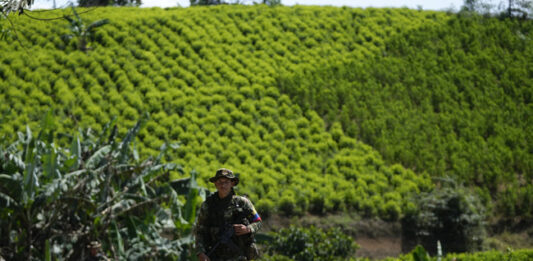 Колумбия смята, че ако Вашингтон преустанови партньорството си с нея в борбата с наркоритиците, това ще увеличи притока на кокаин в САЩ
