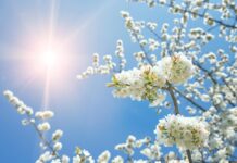 Посрещаме пролетта – дните започват да стават по-дълги от нощта