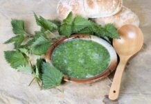 Защо е важно да хапваме коприва