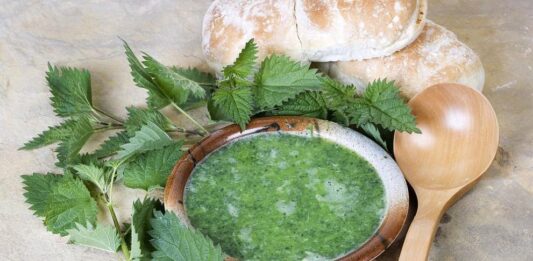 Защо е важно да хапваме коприва