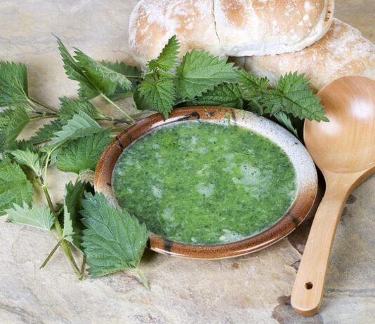 Защо е важно да хапваме коприва