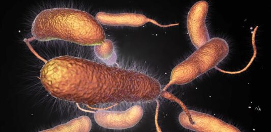 Изследване: Бактериите се „ваксинират“ срещу вируси