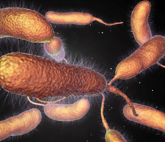 Изследване: Бактериите се „ваксинират“ срещу вируси