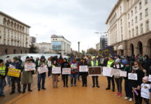 Протестиращи се събраха в центъра на София с призив „Стига смърт на пътя“