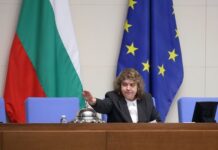 Киселова решава днес – дали да пусне за разглеждане референдума на Радев или да го отхвърли