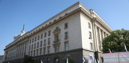 Поддръжници на лева се събраха пред сградата на Народното събрание