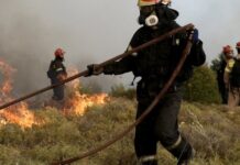 След пожара в Пирин: 50 години са нужни за възстановяване на гората