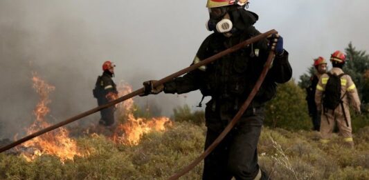 След пожара в Пирин: 50 години са нужни за възстановяване на гората