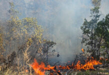 Продължава гасенето на големия пожар край язовир „Кърджали“