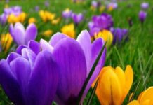 Седмицата завършва с приятни температури за плаж, планина и разходки