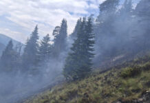 Близо 70 огнеборци се борят с пожара в Рила