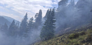 Близо 70 огнеборци се борят с пожара в Рила