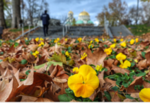 Слънчево и почти без валежи, максимални температури до 18°