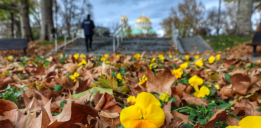 Слънчево и почти без валежи, максимални температури до 18°
