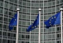 ЕП прие: Дигитални шофьорски книжки и общи санкции за водачите в ЕС