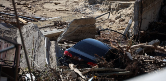 Собственици в „Елените“: Ако не започне спешно почистване, епидемия и инфекции заплашват курорта